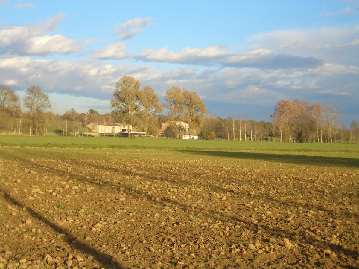 Country house El Mas Pla